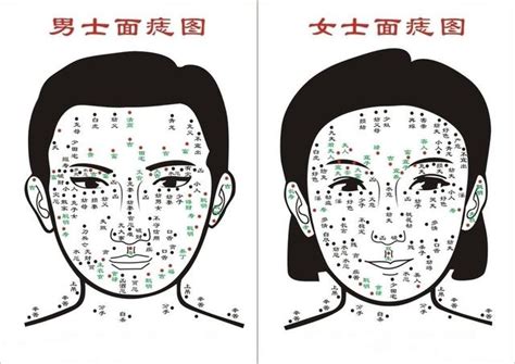 賓周有痣|【2025 最新】7 種常見臉上的痣與在面相學裡的涵義，你的痣代。